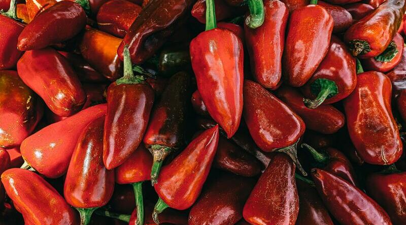 Hot red chili