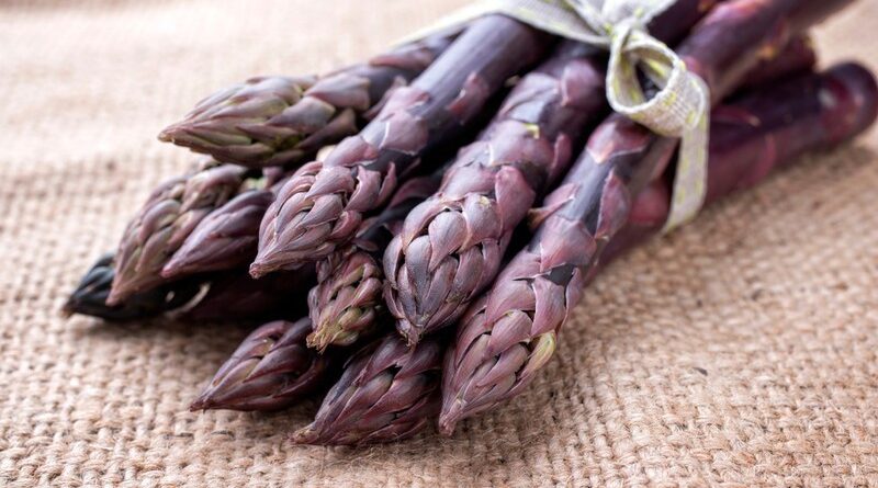 Purple-Asparagus