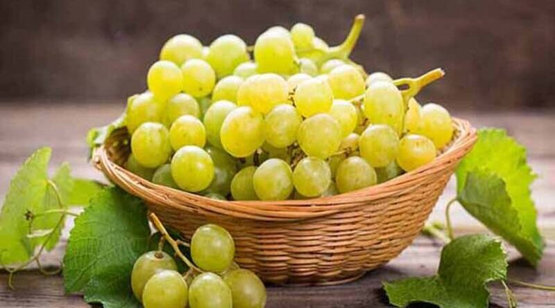 Are-Grapes-Healthy