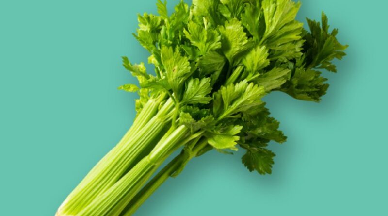 Celery