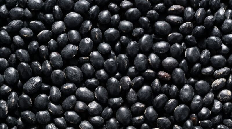 Are-Black-Beans-Healthy