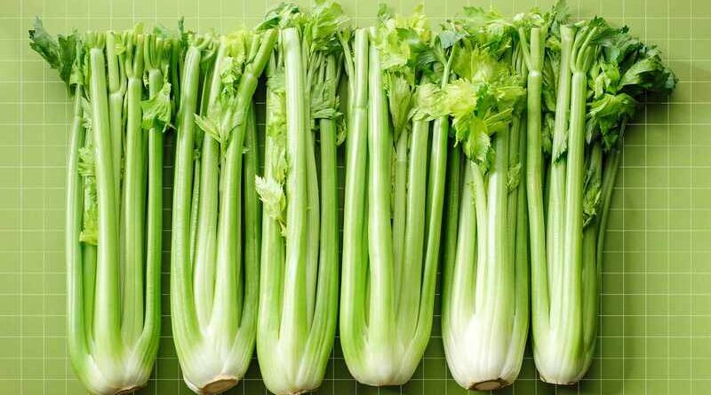 celery