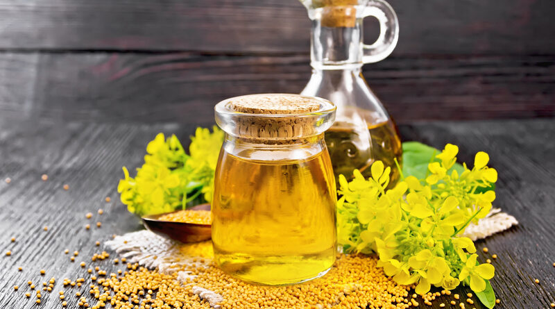 Is Canola Oil Healthy