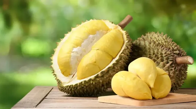 durian fruit