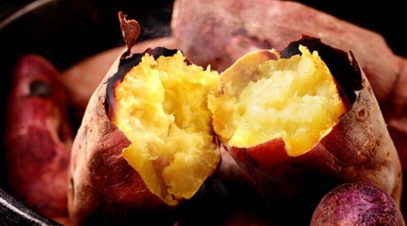 Japanese-Sweet-Potato-Nutrition