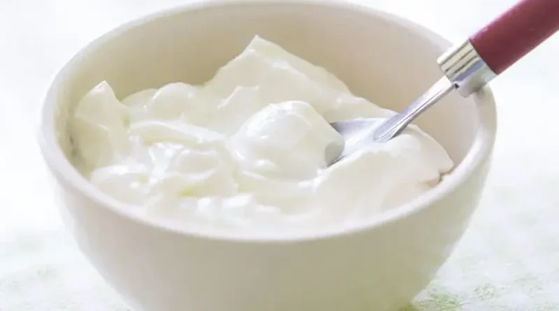 High Protein Dairy Free Yogurt