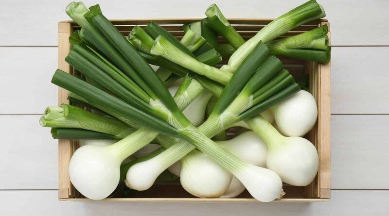 Green-Onion-Nutrition-Facts