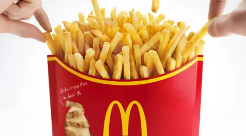 McDonalds Large Fries Nutrition