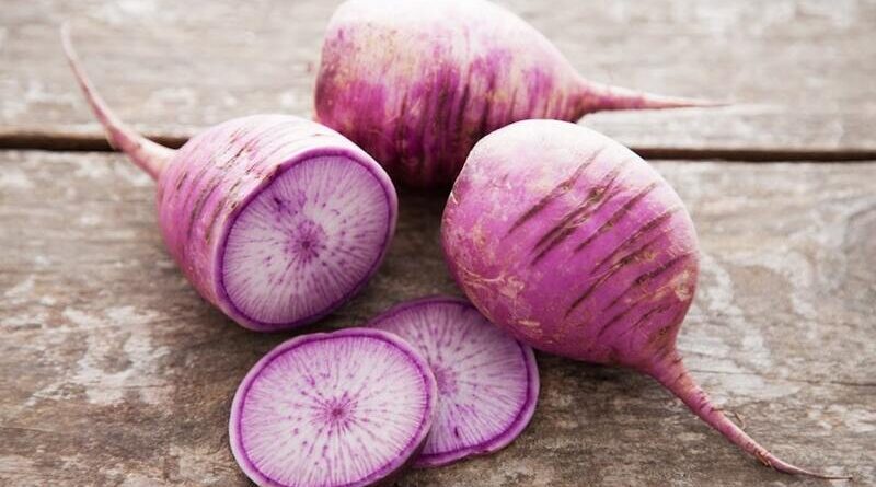 Purple-Daikon-Radish