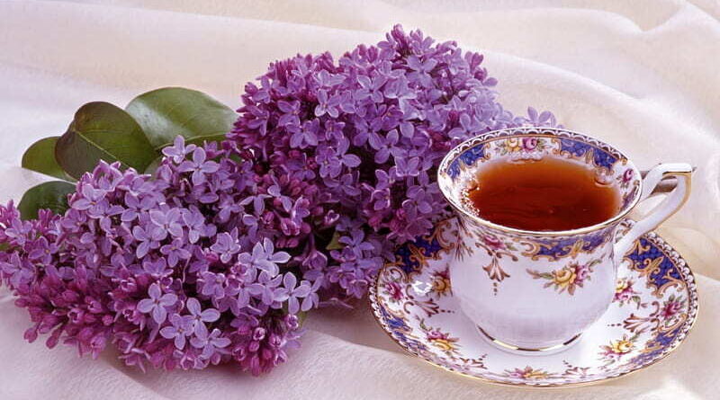 Purple-Tea