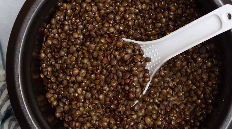 Lentils in Rice Cooker