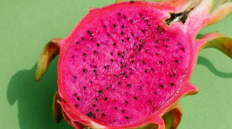 Purple Dragon Fruit