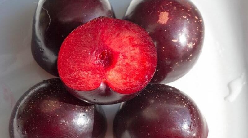 Purple-Plums