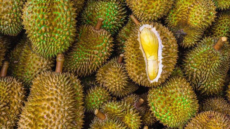 Durian-Fruit