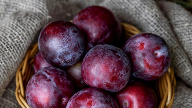 Plum-Benefits