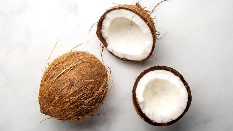 Coconut-is-a-Fruit